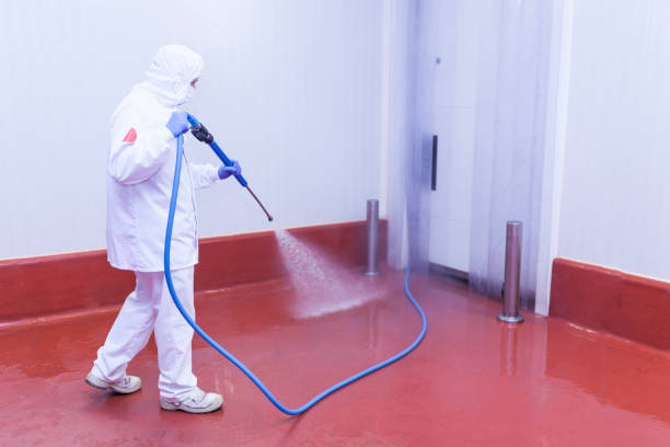 Best Rust Removal  in Beattystown, NJ